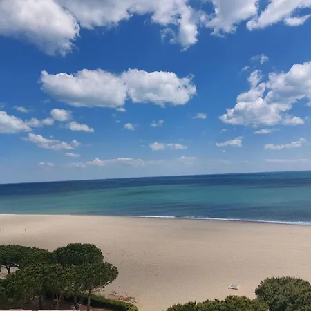 Bel 2 Pièces, 4 Pers, Port Argelès, Et Commerces Proches, Parking Inclus - Fr-1-776-78 *