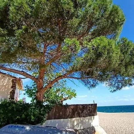 Appartamento Bel 2 Pièces, 4 Pers, Port Argelès, Et Commerces Proches, Parking Inclus - Fr-1-776-78 *